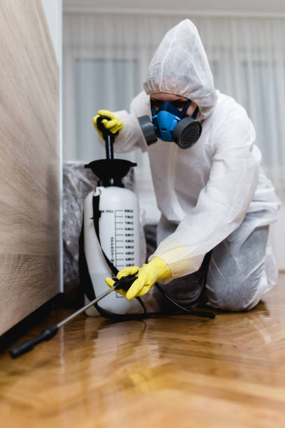 Best Indoor Pest Control  in Rose, LA